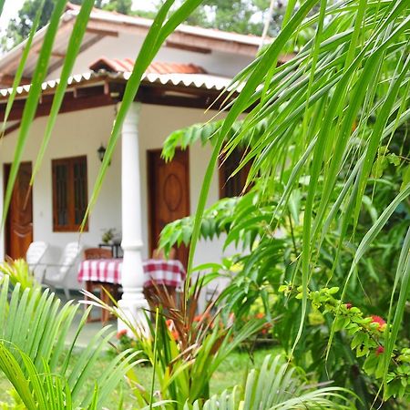 Sigiriya Amenity Home Stay Εξωτερικό φωτογραφία