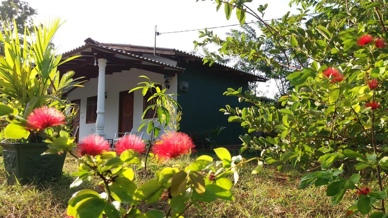 Sigiriya Amenity Home Stay Εξωτερικό φωτογραφία