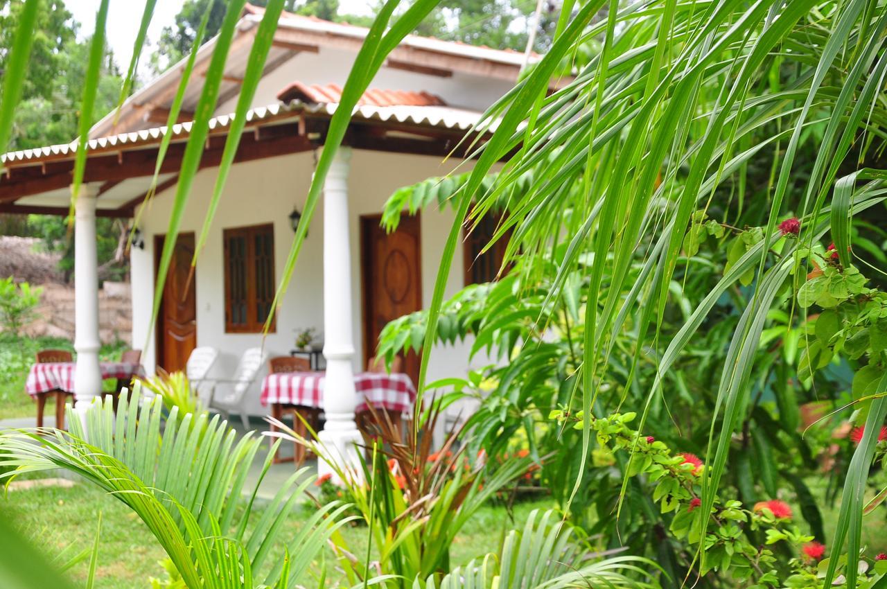 Sigiriya Amenity Home Stay Εξωτερικό φωτογραφία