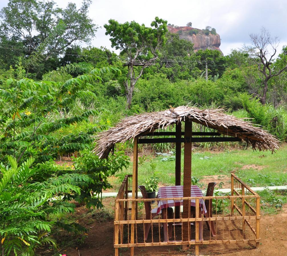 Sigiriya Amenity Home Stay Εξωτερικό φωτογραφία