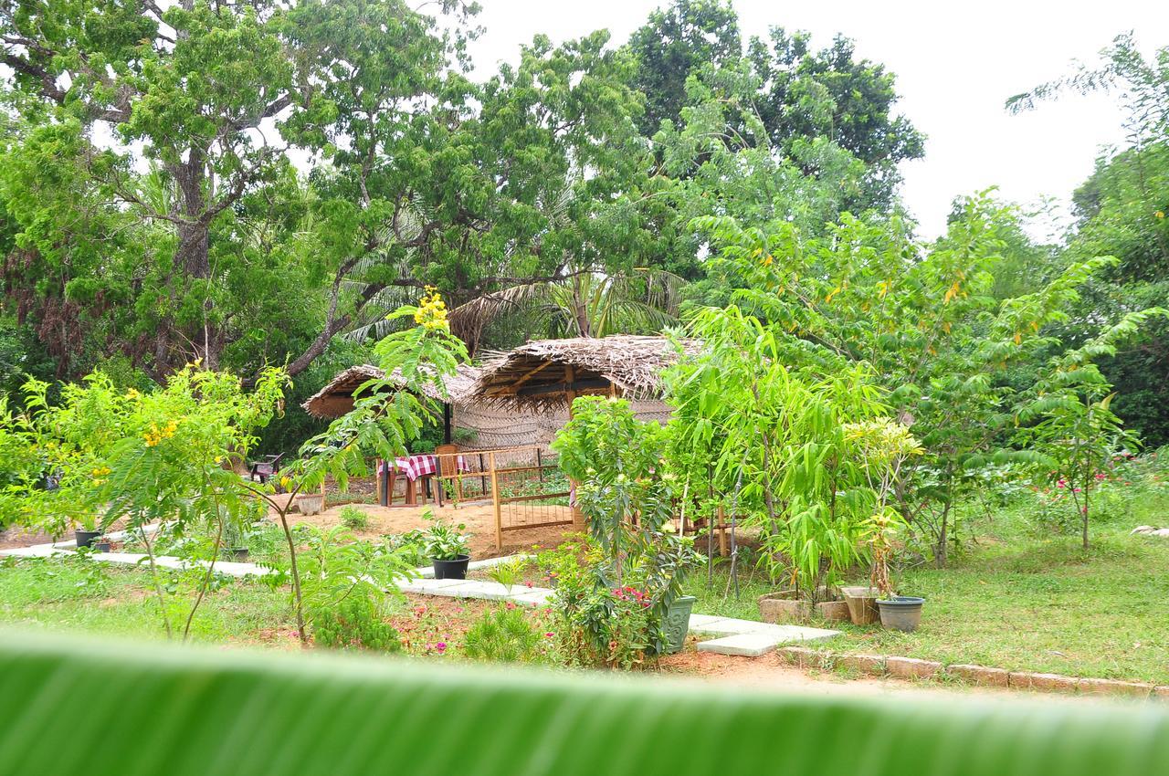 Sigiriya Amenity Home Stay Εξωτερικό φωτογραφία