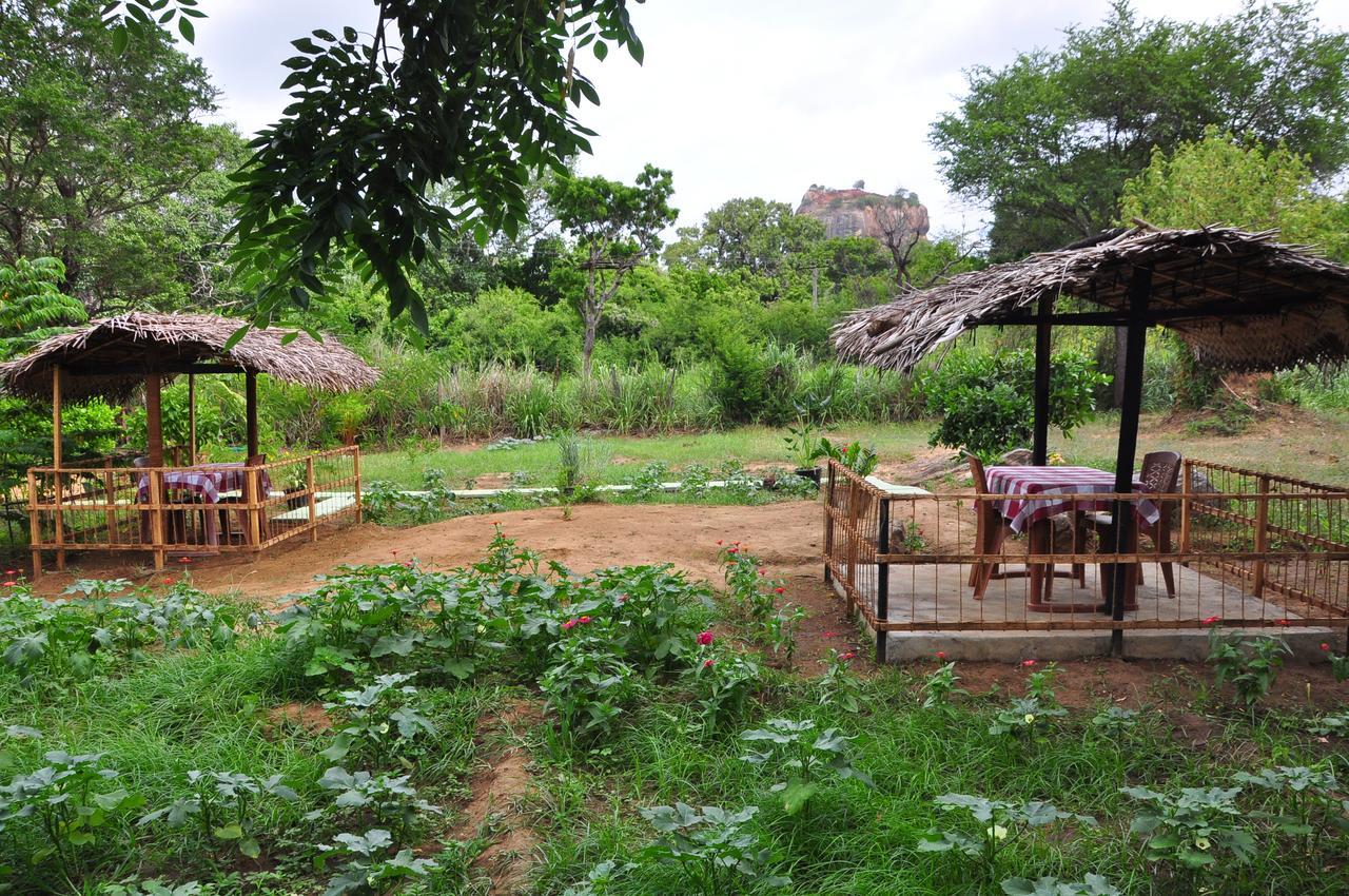 Sigiriya Amenity Home Stay Εξωτερικό φωτογραφία